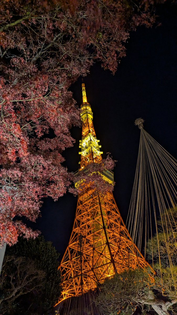 mie_44_8's tweet photo. #東京タワー 🗼
ジャイアンツの屋外モニュメント等、見てきた！
屋外モニュメントも、3Fの特別展示の優勝フラッグやパネル展も、とても良かったです🐰
フラッグでけぇ😭 トロフィーには、指紋がついてるところもあって震えた。リーグ優勝したんだなって🏆
来年は日本一に🥹 https://t.co/7mBC3vBE3i