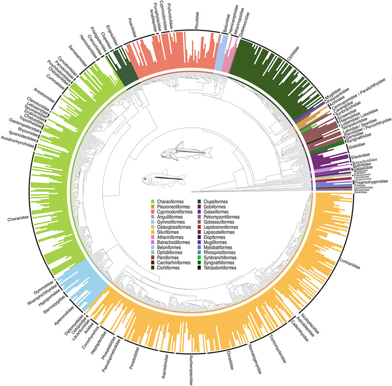 John P. Sullivan tweet media