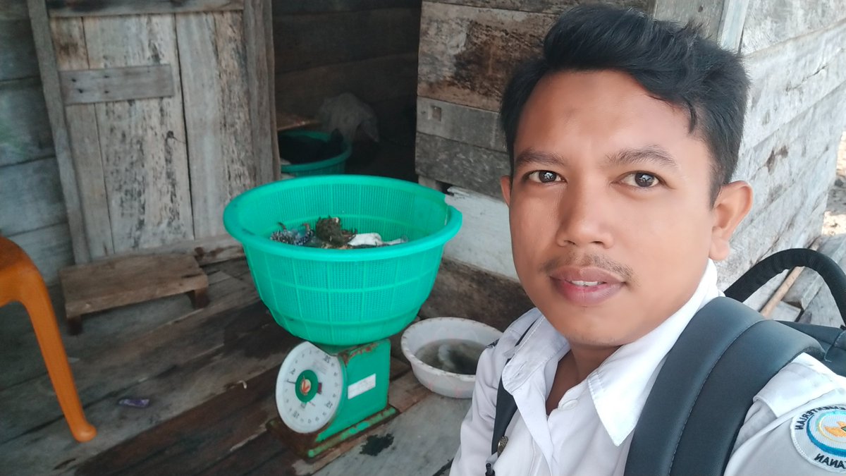 SeptoDita's tweet photo. Selasa (03/12/24), Septo Dita Widyatmoko Luhkan, monitoring hasil produksi Penangkapan rajungan anggota kub Gersamata  Desa Santiri Kecamatan tiworo Utara  sebanyak 155 Kg/Bulan Harga 45/Kg, #luhlapor
@BRPBAP3_Maros @puslatluhkp #GiatLuhkanSatminkalMaros https://t.co/nQR430dtYP