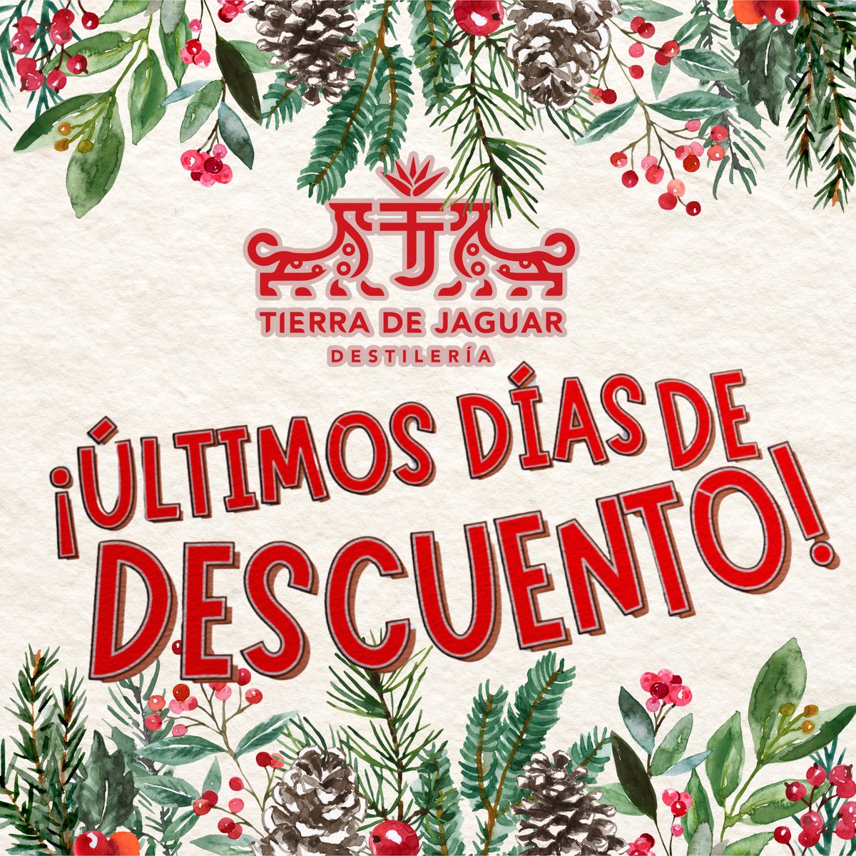 TierradeJaguar's tweet photo. ¡𝑹𝑬𝑮𝑨𝑳𝑨 𝑻𝑰𝑬𝑹𝑹𝑨 𝑫𝑬 𝑱𝑨𝑮𝑼𝑨𝑹! 

Aprovecha los Ú𝐋𝐓𝐈𝐌𝐎𝐒 𝐃Í𝐀𝐒 𝐃𝐄 𝟏𝟓% 𝐃𝐄𝐒𝐂𝐔𝐄𝐍𝐓𝐎 en TODOS nuestros 𝐊𝐈𝐓𝐒 𝐓𝐈𝐄𝐑𝐑𝐀 𝐃𝐄 𝐉𝐀𝐆𝐔𝐀𝐑*.

*Aplica para todas nuestras variedades en kit y presentaciones de 750 ml. https://t.co/lhqqIcnSrm