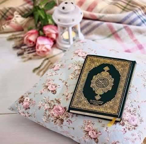 و  في  ليلة  الجمعة  اللهم  اجعلها جمعة  فرج  و  خير  و  شفاء  و  سعادة  و  ستر   و   عافية   و  سكينة   لنا  يارب 🤲❤
#اللهم_أمين 
#ليلة_الجمعة 🕋🌹