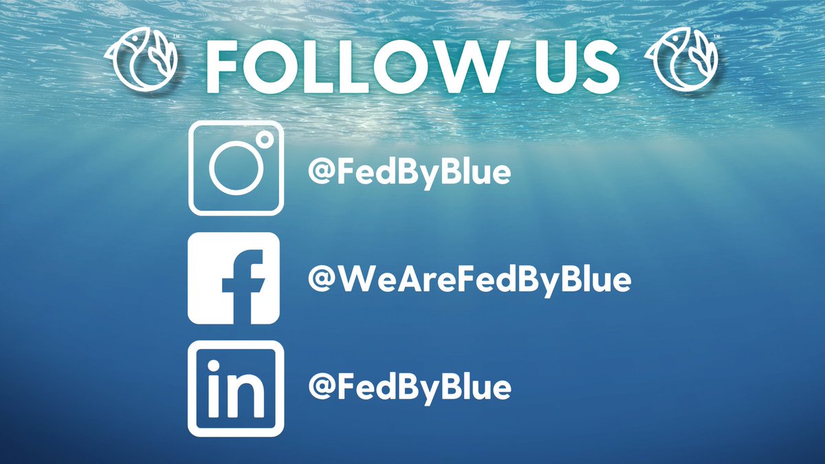 Fed by Blue tweet media