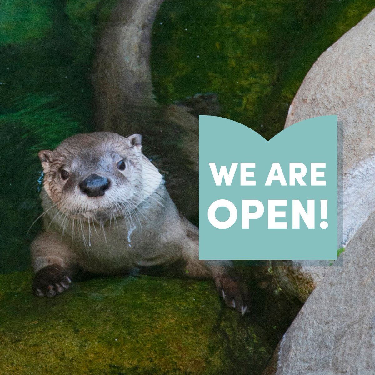 The Robins Nature Center will reopen Dec 20, just in time for Winter Break!

Repairs to the floor of the gallery are complete and The Robins Nature Center will return to its regular hours of Fri–Sun, 10am–5pm.

Find more information &amp; get tickets at maymont.org/what-to-see/na…