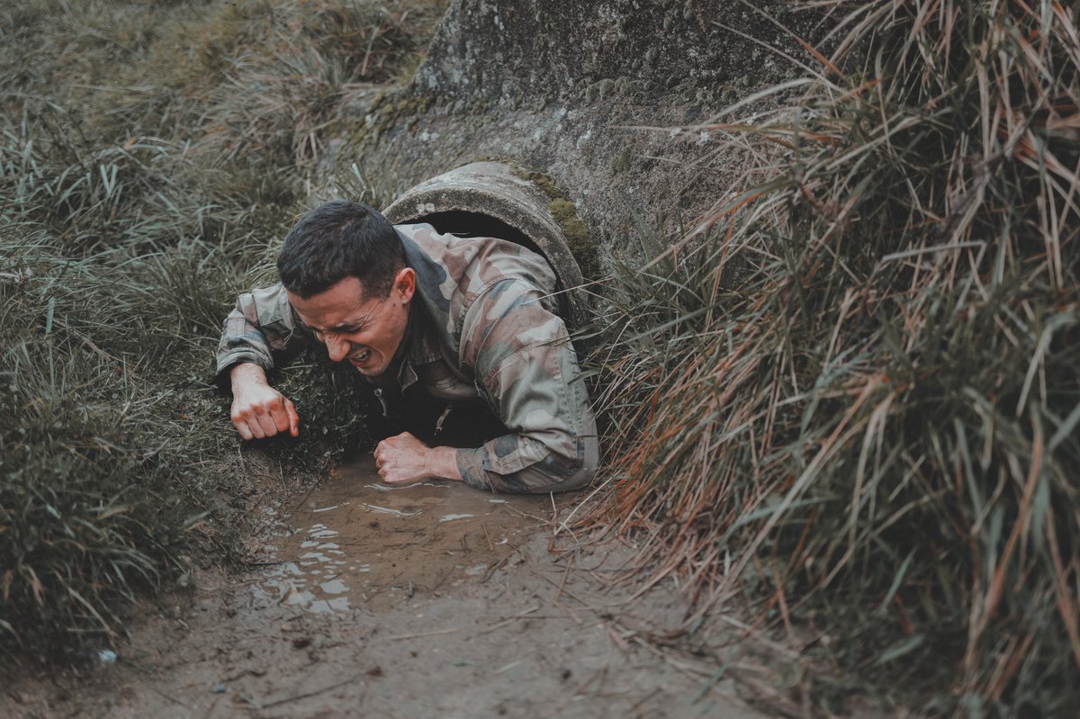 Tibo InShape tweet media