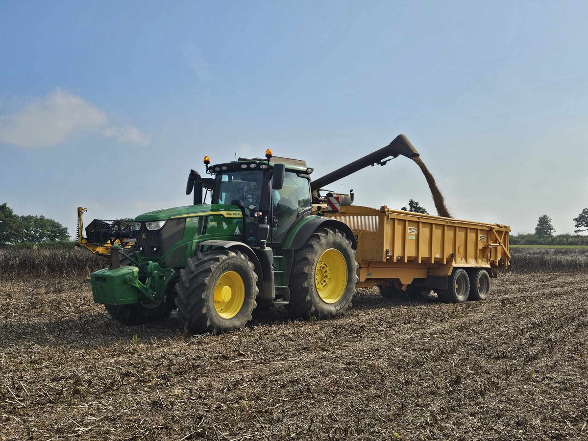 profiMagazin's tweet photo. Mais dreschen mit einem #NewHolland CR9.80 und #JohnDeere 6R 250 mit #Easterby Mulde. https://t.co/ci1VcylOTk