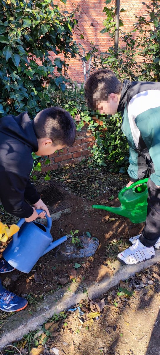 IES Clara Campoamor (@iesyunquera) on Twitter photo Hemos participado en el proyecto de <a href="/LIFETerraEurope/">Life Terra</a> q tiene como objetivo plantar 500 millones de árboles en Europa.
Desde el grupo de #Ecoescuelas contribuimos con dos encinas y un roble. 🌱🌲🌳
Tenéis más información del proyecto en lifeterra.eu/en Hemos participado en el proyecto de <a href="/LIFETerraEurope/">Life Terra</a> q tiene como objetivo plantar 500 millones de árboles en Europa.
Desde el grupo de #Ecoescuelas contribuimos con dos encinas y un roble. 🌱🌲🌳
Tenéis más información del proyecto en lifeterra.eu/en