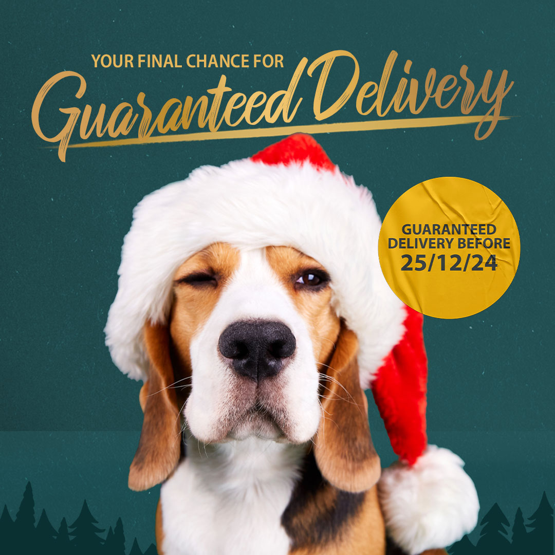 🚨This is your FINAL chance to claim guaranteed delivery before Christmas day! PLUS it's completely FREE 🤩

T&amp;C's Apply: FREE delivery ends 31/12/24 at 11:59pm. You can find all of our shipping T&amp;C’s online 🐾

#skipperspetproducts #giftsfordogs #christmas2024 #offer #dogs