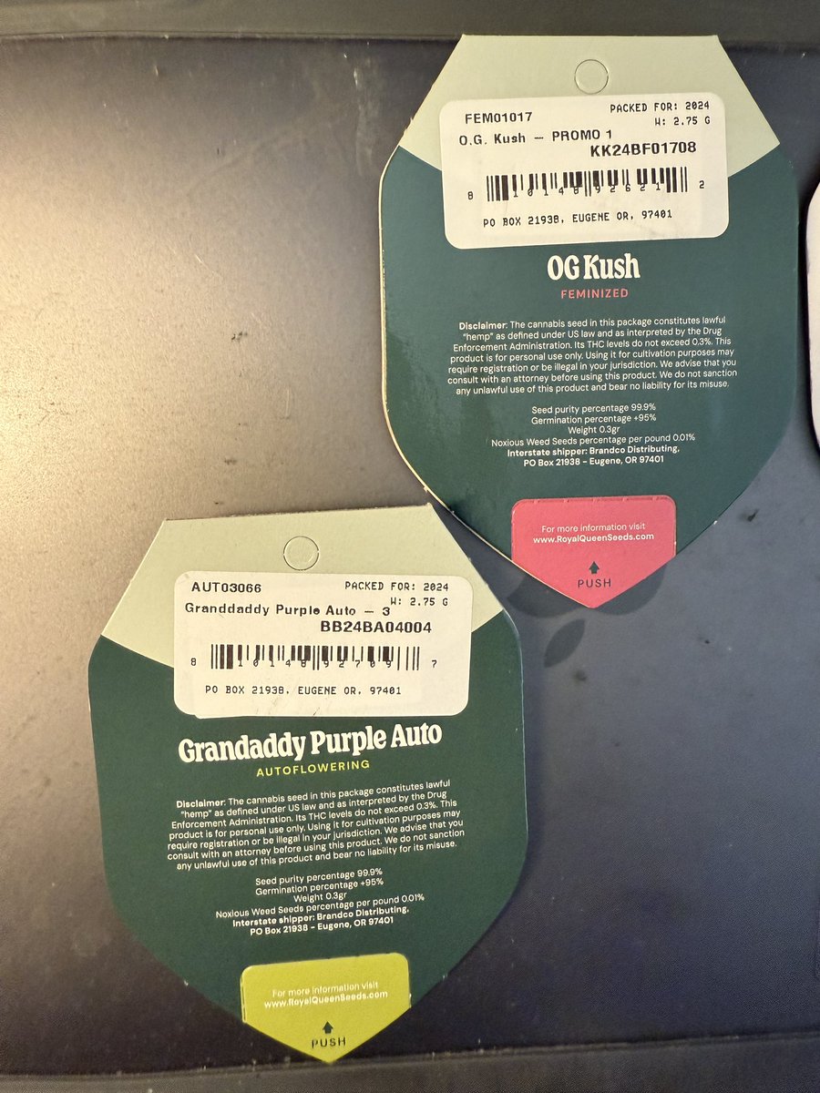 harley_vlogger's tweet photo. Gonna pop some more Autos #growmies! #ogkushauto #grandaddypurpleauto from #royalqueenseads https://t.co/3uKD1TOuzl