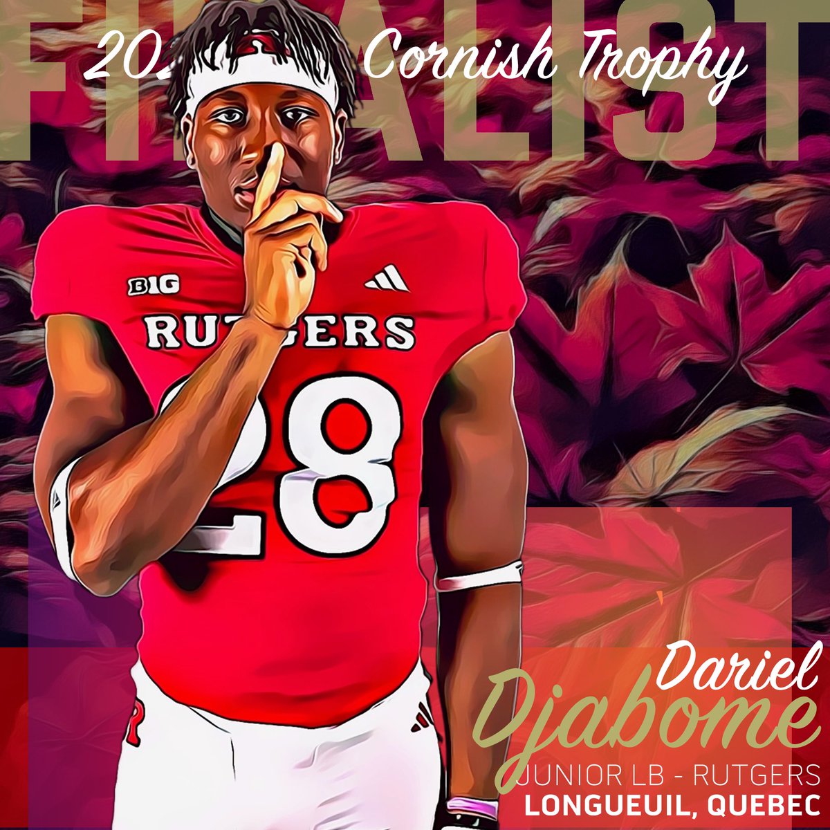 Gridiron Nation Canada tweet media