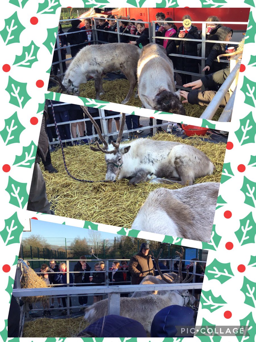 Y3/4 have had a very festive day! 🎄🎅🏻 Christmas dinner and party followed by some very special visitors this afternoon! 🥰🦌 One more day to go! @MrsBryson4 <a href="/Hollymountbury/">Holly Mount RC Primary</a>