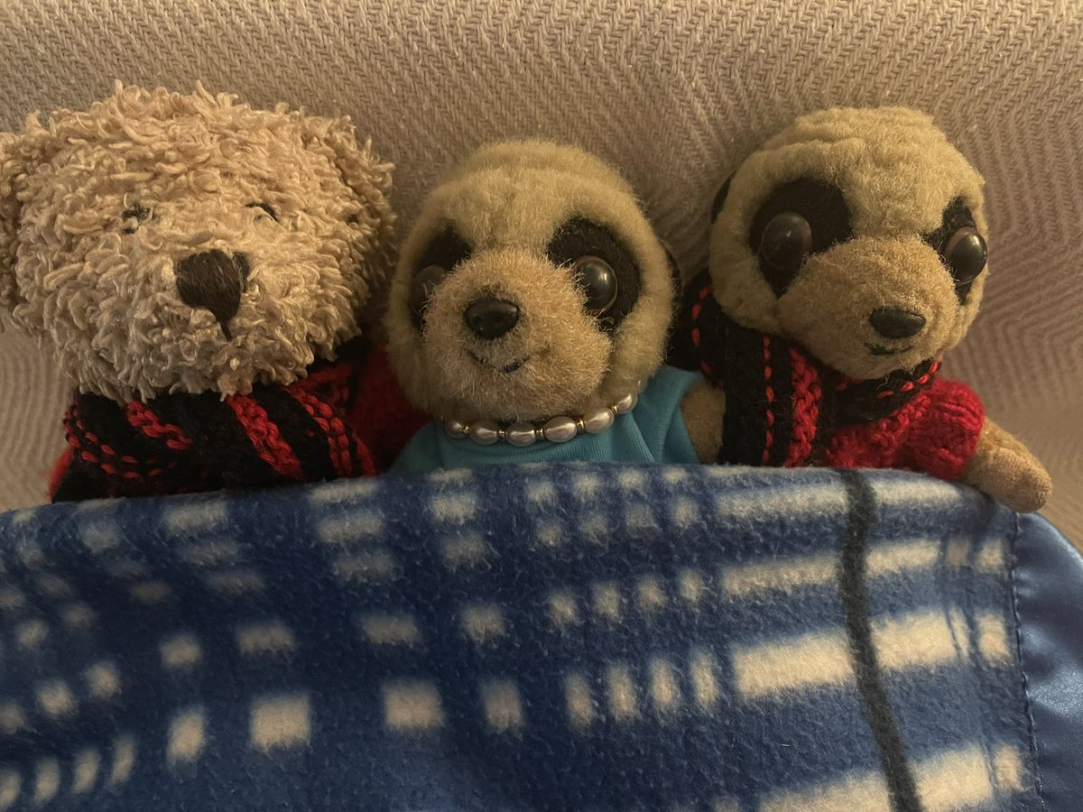 Fred & Ted tweet media