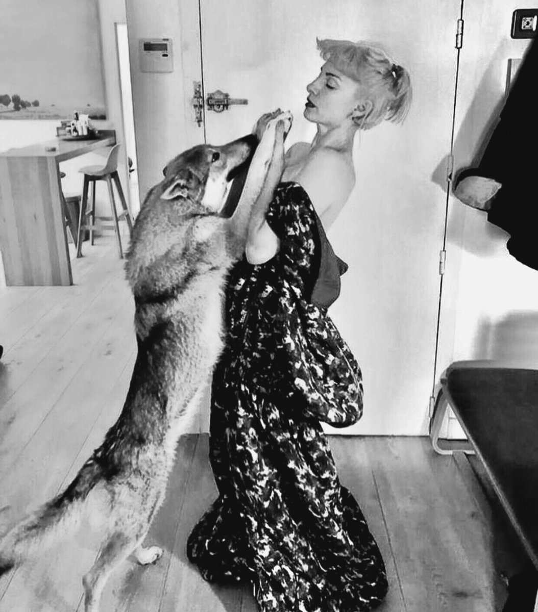 anisemenimri's tweet photo. Marilyn Monroe 1958            Najwa Nimri 2020🖤 https://t.co/byUAaXOGIA