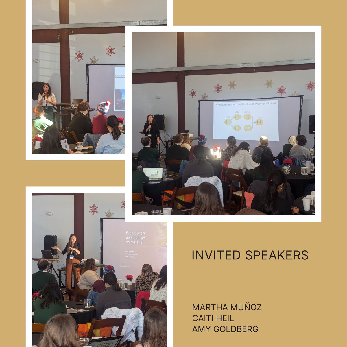 EvolutionVU tweet media