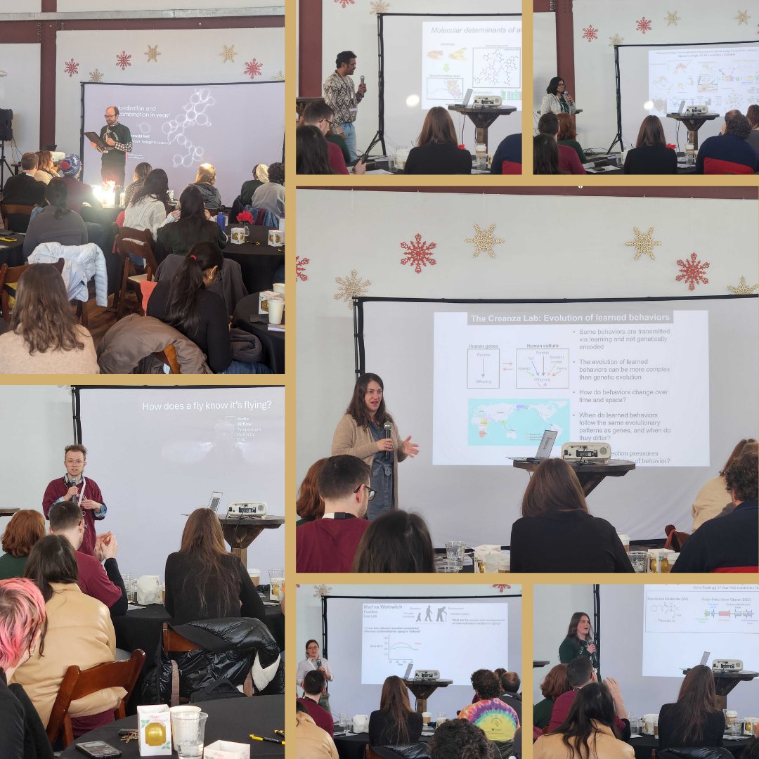 EvolutionVU tweet media