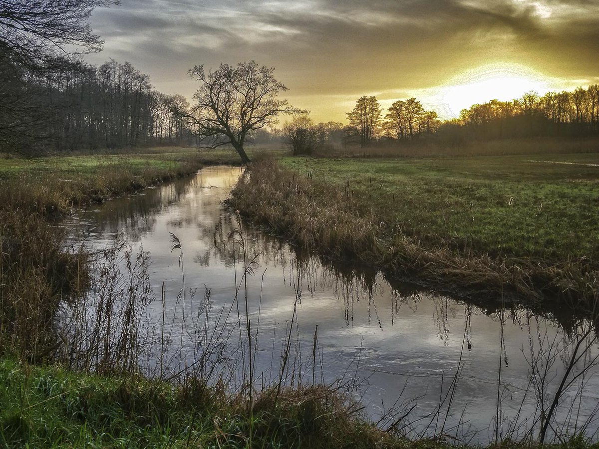 We zijn vanaf nu te volgen via ons account op Bluesky. We zien je daar graag terug .