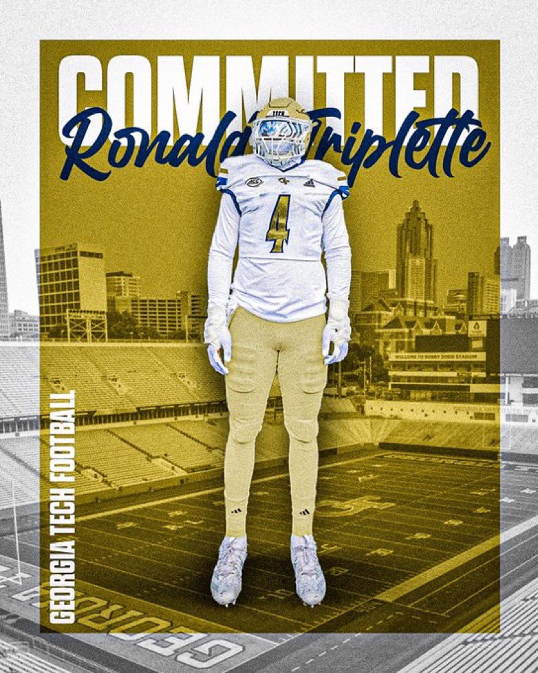 New beginnings 🐝