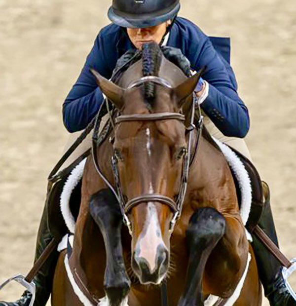 Be the Change You Want to See in the World! For those who ever doubted what the power of good thoughts and ideas put into action can do, we say look no further than #TeamLafitte ! equusfoundation.org/news/releases/…