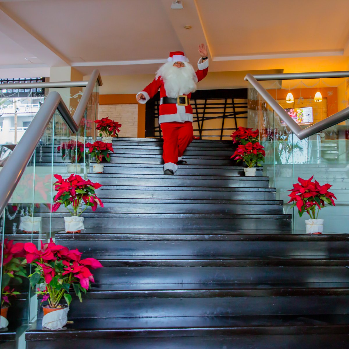 CasaDoradaCabo's tweet image. Santa decided to take a break... and there’s no better place than here.☀️🌊
Enjoying the sea, breathtaking views, and food so good it keeps him coming back every year. Paradise made it to his list this Christmas!🎄✨
.
.
.
#santabythesea #holidaygetaway #casadoradacabo #loscabos