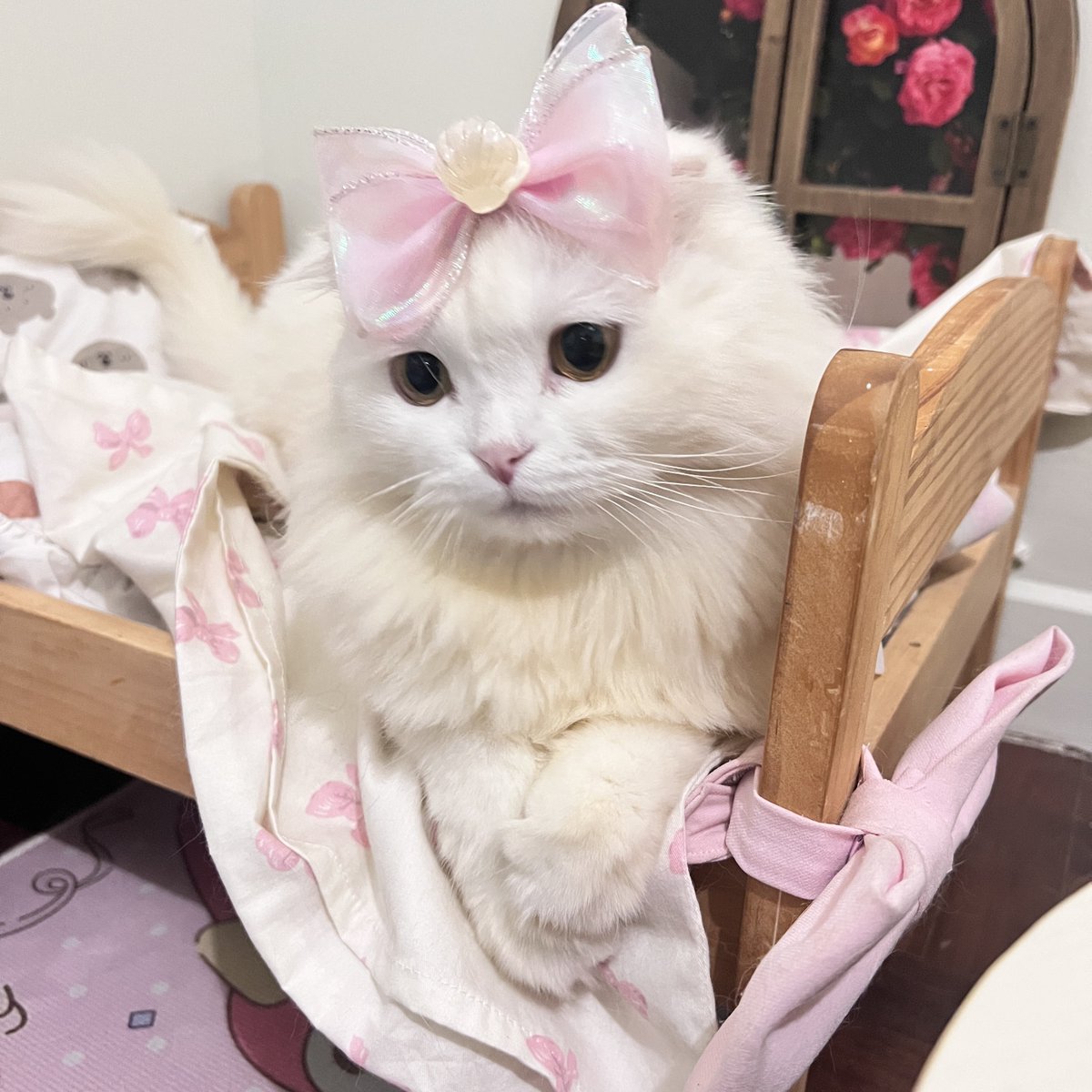 awwwfluffy's tweet photo. เก่าแต่ยังโสยอยุ่ https://t.co/HREguj4rRj