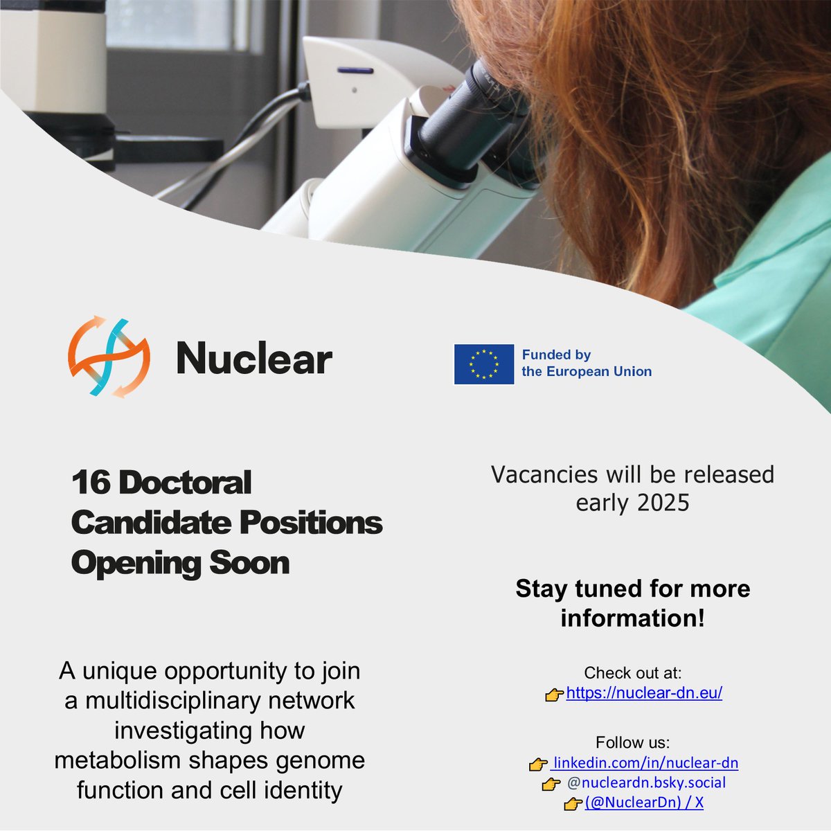 🚨 16 PhD positions open in early 2025! 🚀 Join NUCLEAR for cutting-edge research on nuclear metabolism, cell identity, and genome function. 🌍 Details on projects, eligibility &amp; applications coming soon.Stay tuned!  
 #PhDOpportunities#MarieCurieActions
👉nuclear-dn.eu