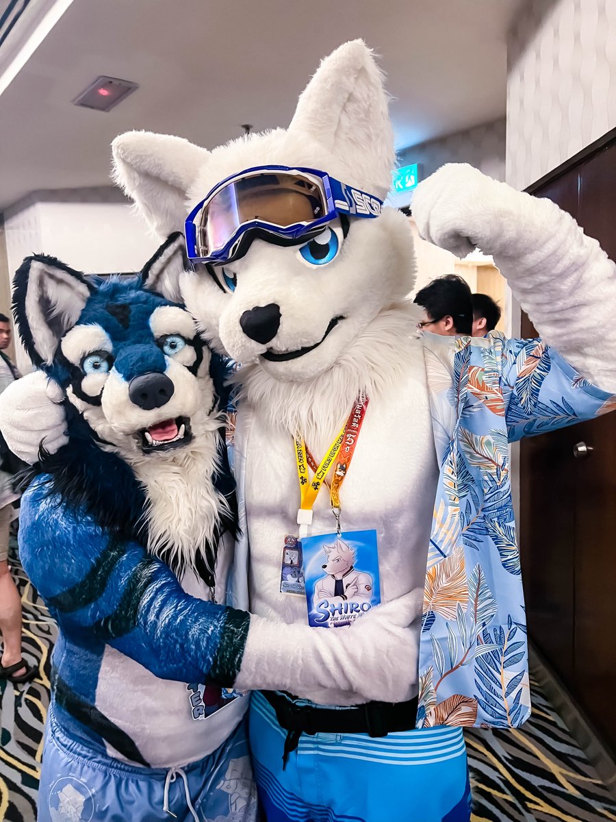 Shiro The White Wolf tweet media