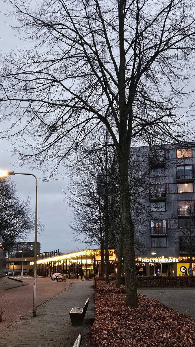 kaatjehotemetoo's tweet photo. Groeten uit Holtenbroek #Zwolle #mijnStad #fijneDagen https://t.co/pmV43MQrKb