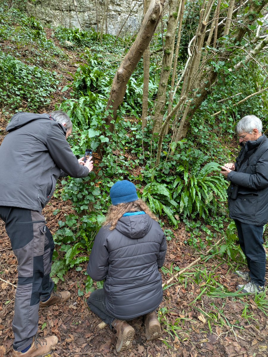 BRERC staff and volunteers enjoyed their Christmas 'walk' last week (there's a lot of stopping 👀).

We hope all our recorders have a Merry Christmas and feel energized by the break to record even more in 2025!