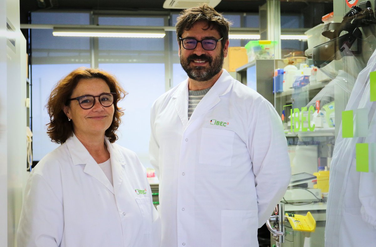 IBEC (@ibecbarcelona) on Twitter photo ENG
🔬 Researchers from #IBEC, led by Óscar Castaño (<a href="/oscar_castano/">Oscar @oscar_castano@mstdn.social</a>), have developed 3D scaffolds that enhance vascularization, a key step in bone regeneration and healing.
✅ This results in faster healing and stable bone integration.
👉 More: ibecbarcelona.eu/innovative-3d-… ENG
🔬 Researchers from #IBEC, led by Óscar Castaño (<a href="/oscar_castano/">Oscar @oscar_castano@mstdn.social</a>), have developed 3D scaffolds that enhance vascularization, a key step in bone regeneration and healing.
✅ This results in faster healing and stable bone integration.
👉 More: ibecbarcelona.eu/innovative-3d-…