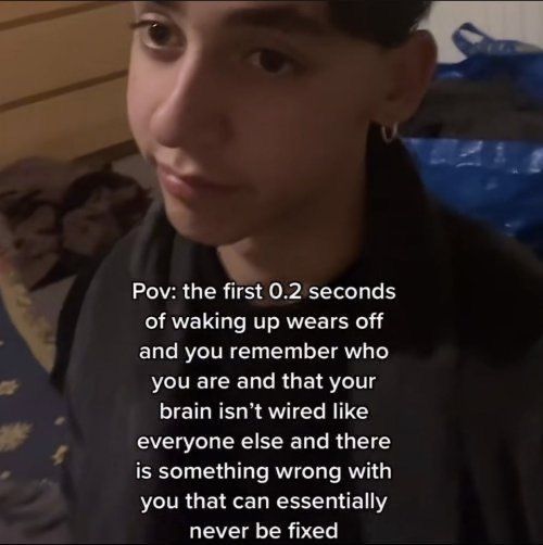 Wild TikToks tweet media