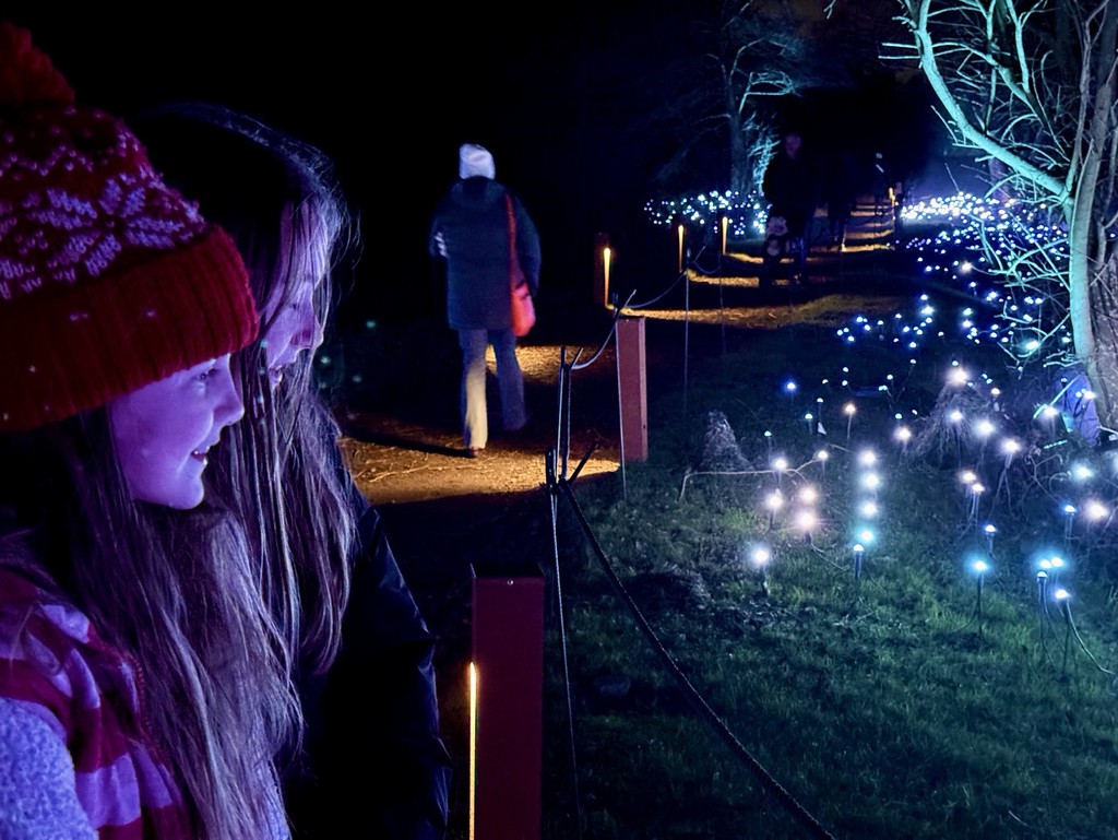 zoecorkhill's tweet image. An immersive art experience at Light Cycles: bit.ly/49BdZEW

#LightTrail #LightCycles