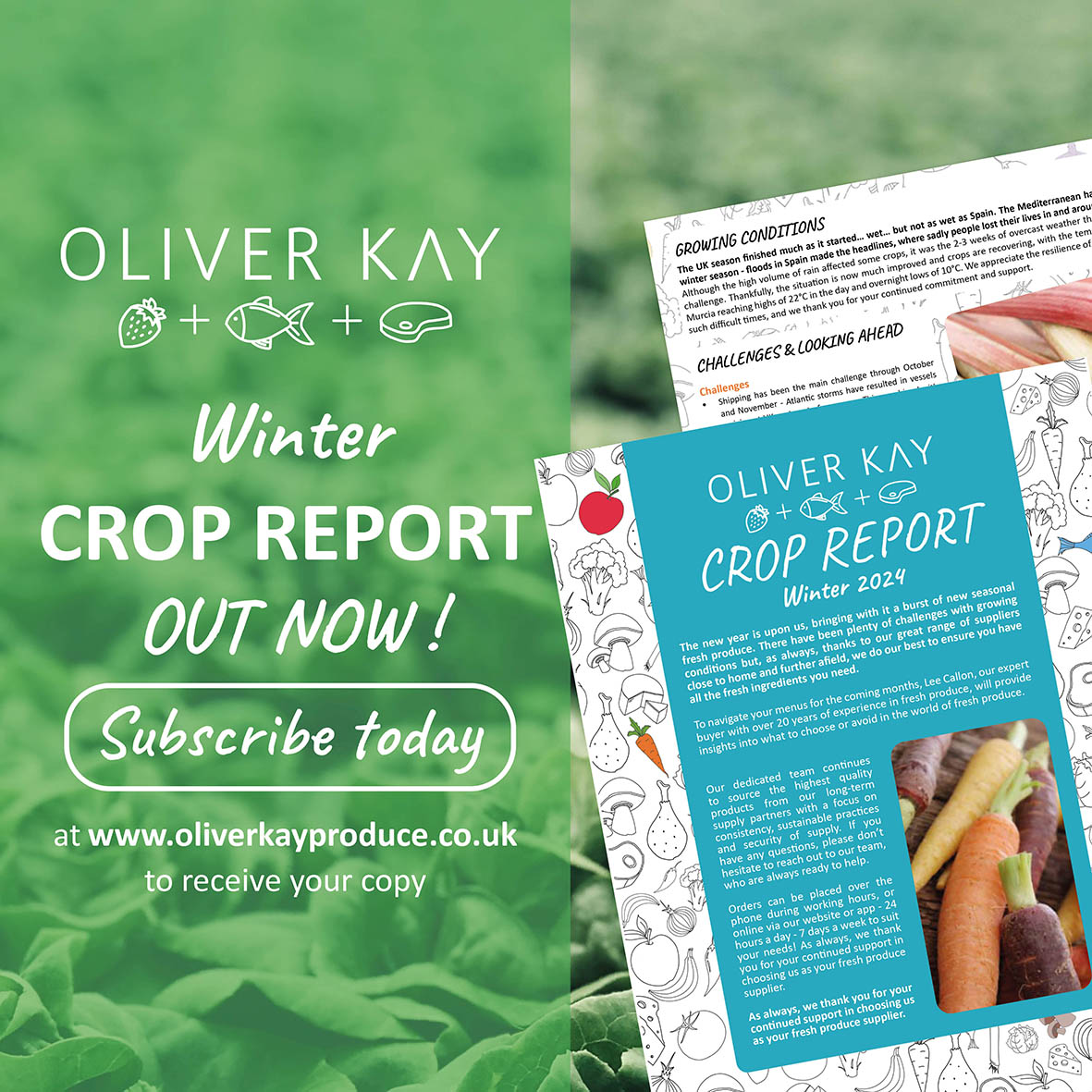 Oliver Kay's Winter Market Report is now available❄️

Get your menu ready for Winter by reading our Crop Report featuring the season’s market report, our buyers’ recommendations &amp; best in-season produce for the colder months.

Find it here: bit.ly/4gpV8iU