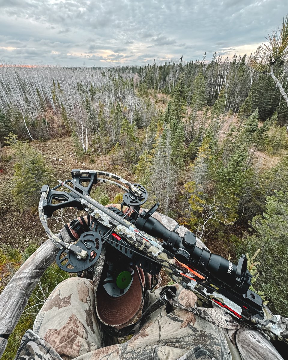 SummitTreestand's tweet photo. Present in the middle of nowhere.
#ViewFromYourSummit
πΈ: Timothy Skalecki https://t.co/EyKtTpIkWq