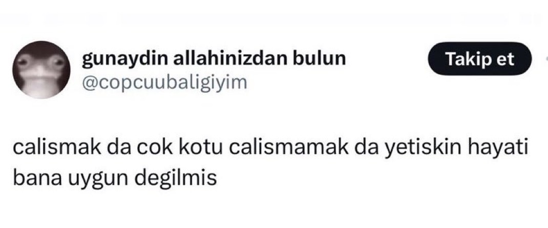 Alnı Öpülesi Tivitler (@alniopulesitivt) on Twitter photo 