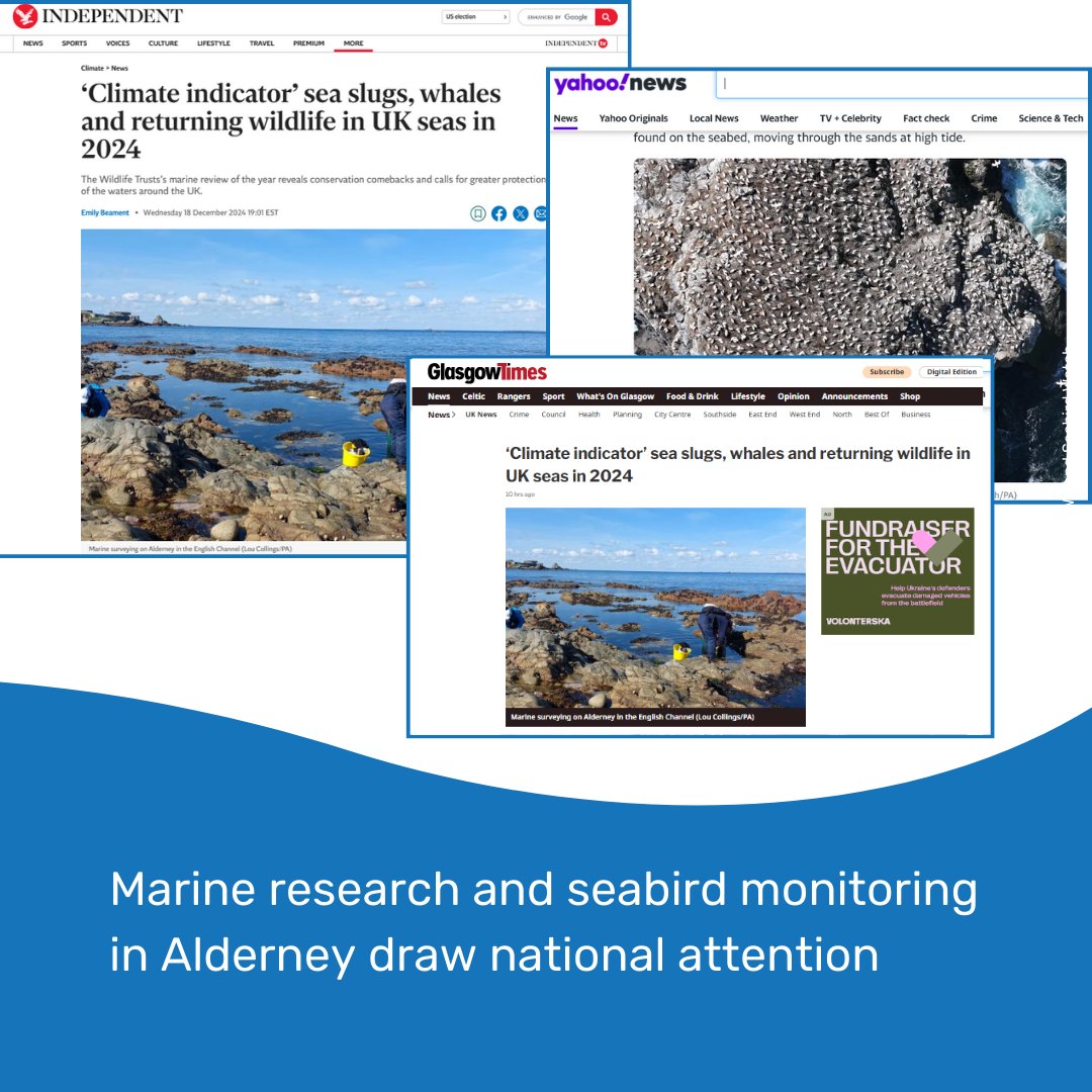 AlderneyWT's tweet photo. Alderney's Ramsar Site/work brings Alderney national attention. AWT's work monitoring of gannets by drones with Seabird Watch and marine surveying on Alderney, and the Alderney State of Nature Project were mentioned in several national newspapers @AlexPurdie6 https://t.co/uylAynBxxO