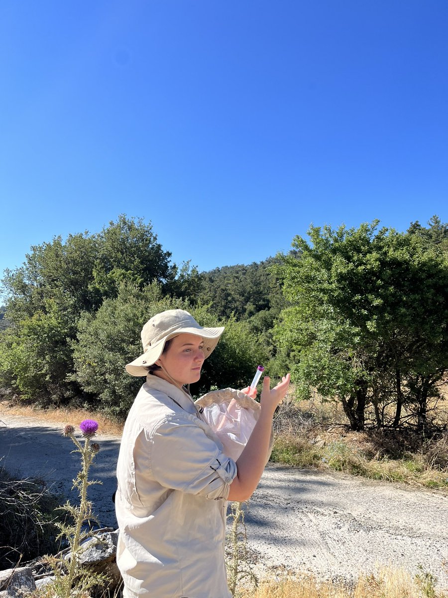 vhgonzab's tweet image. How do #bees cope with multiple stressors under climate change? Check our latest study exploring the effects of desiccation & starvation on bee heat tolerance, conducted on the beautiful island of #Lesbos, #Greece. Read more: doi.org/10.1242/jeb.24… #ClimateChange #pollinators