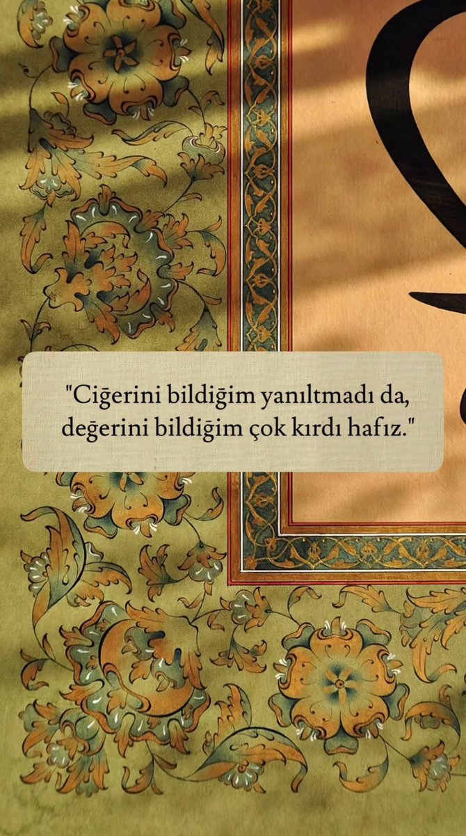 𝔞𝔩𝔟𝔞𝔩𝔦𝔞 (@birmahzunn) on Twitter photo 