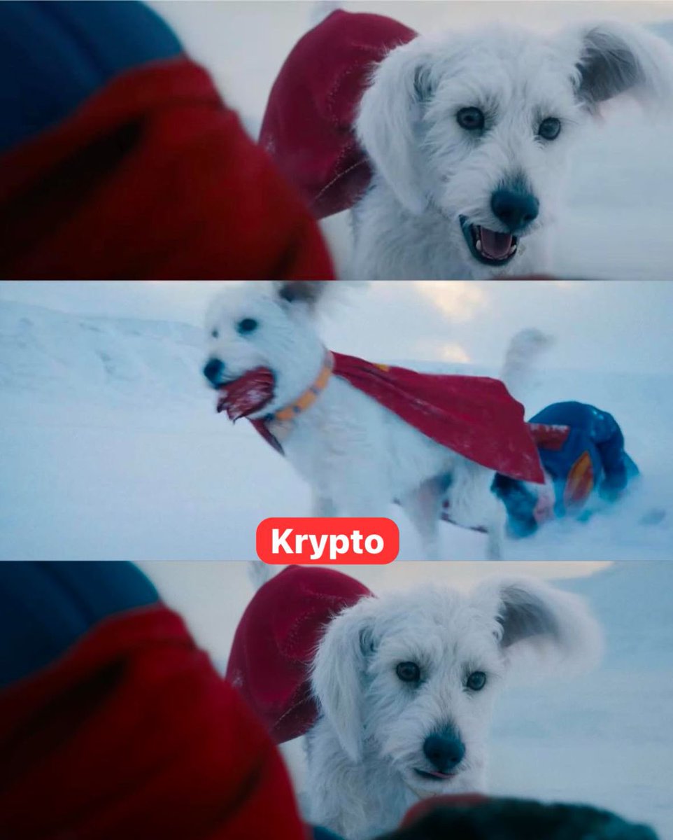 DiegoFSep19's tweet photo. Krypto 🐕 en #SupermanMovie https://t.co/jhiC4rdMtI