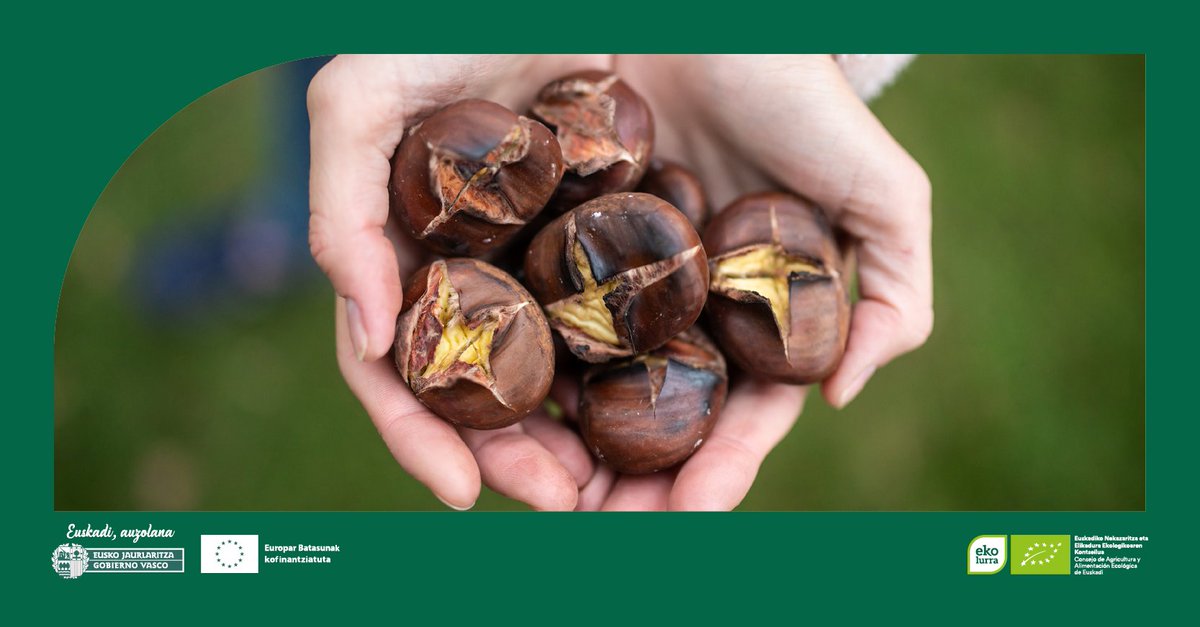🌰 Gaztainak erre artean, gaztainak erre artean, txipli, txapla, pun! 🌰

🎉 Gabon gaua pozik igaro daigun! 🥂

#nekazaritzaekologikoa #ingurumena #etorkizuna #agriculturaecológica #futuro #MedioAmbiente #sostenible #jasangarria #ekologikoa #denahobetzeko #elikagaiekologikoak