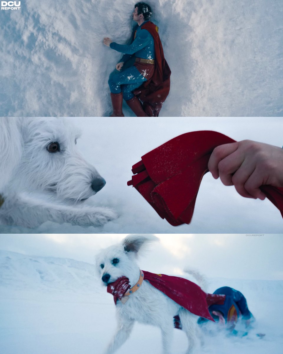 "Krypto... Home. Take me home." #Superman