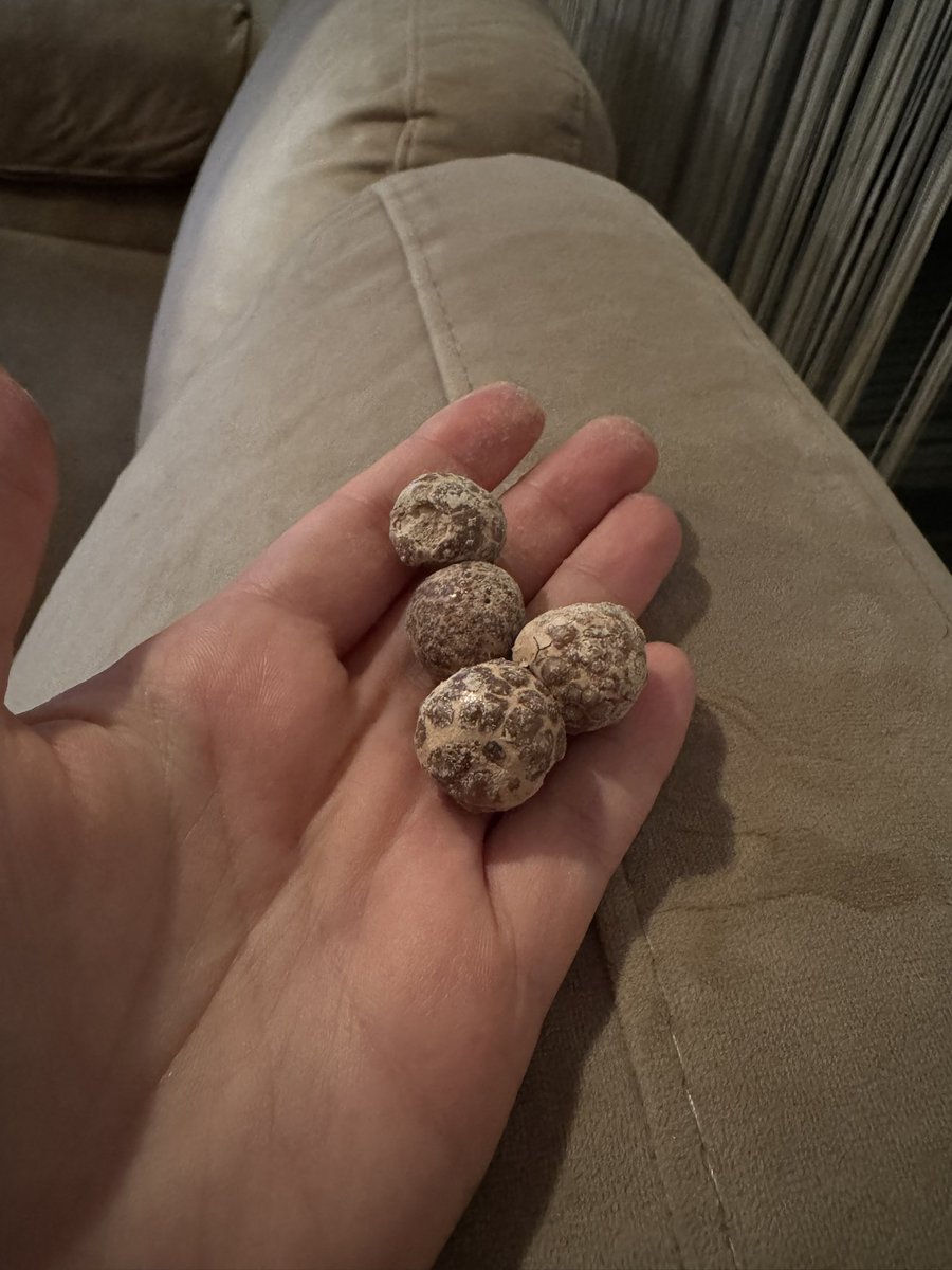 ipekakogull's tweet photo. @kahvedunyasi merhabalar aldığım ürünün üstüne yazana göre son kullanma tarihi geçmemesine rağmen bozuk  üstündeki çikolatalar dökülüyor birbirine yapışmış tadı bir farklı daha dün almıştım.  En sevdiğim markalardan biriydiniz bu duruma üzüldüm @kahvedunyasi https://t.co/mqNjFx9HUa