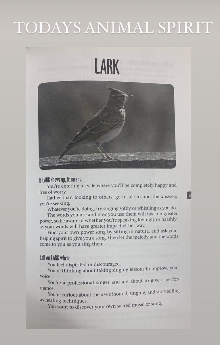 Travis Sarah Psychic Medium (@mediumtravis) on Twitter photo 