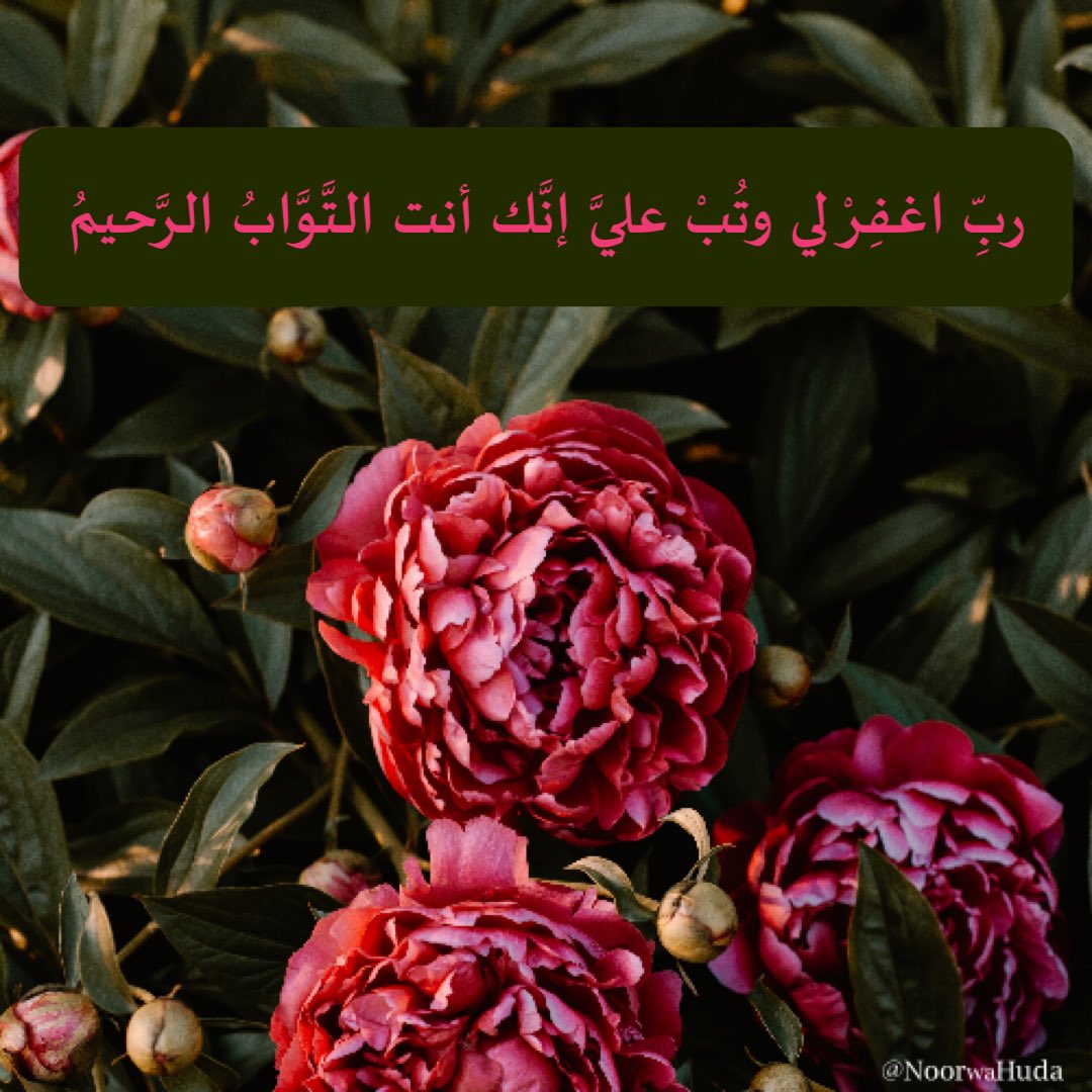 ربِّ اغفر لي، وتُب عليَّ، إنَّكَ أنتَ التَّوَّابُ الرَّحيمُ.

#الجمعة #ليلة_الجمعة #الصلاة_على_النبي
#اللهم_صل_وسلم_على_نبينا_محمد
<a href="/sh_Alshaamsi/">شما الشامسي🇸🇦🇦🇪</a> <a href="/Ald3wah/">ريتويت دعوي</a> <a href="/KH__alghamdi/">💦🇸🇦أم عاصـ❤️ـم🇸🇦⚡️❄️</a> <a href="/fa7ad1live/">#قافلة_الخير</a> <a href="/reeema_2010/">•!¦[•( ريما)•]¦!•‏‎</a> <a href="/otaibimo511/">أحب الله ورسولهﷺ ♡</a> <a href="/tmam_20121/">‏Rtwit™️ 🇸🇦</a> <a href="/alahlaam__16/">لاترحل بلا أثر</a> <a href="/ASallah2003/">ابو فراس 🕊</a> <a href="/hesaah77/">حصه عبدالعزيز</a>