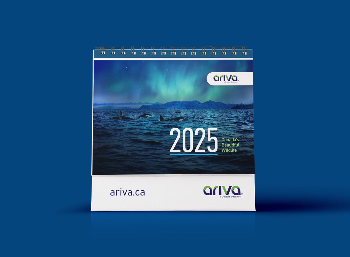 Ariva tweet media