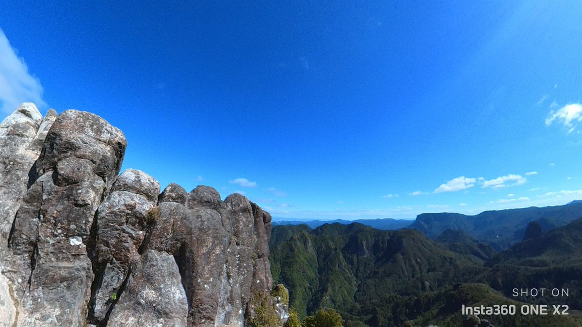 VisualExcursion's tweet photo. Coromandel Forest Park
New Zealand
Camera: Insta360 One X2
#newzealand #worldtraveler #nature #explorenewzealand #naturefix https://t.co/nHUslOcLaJ