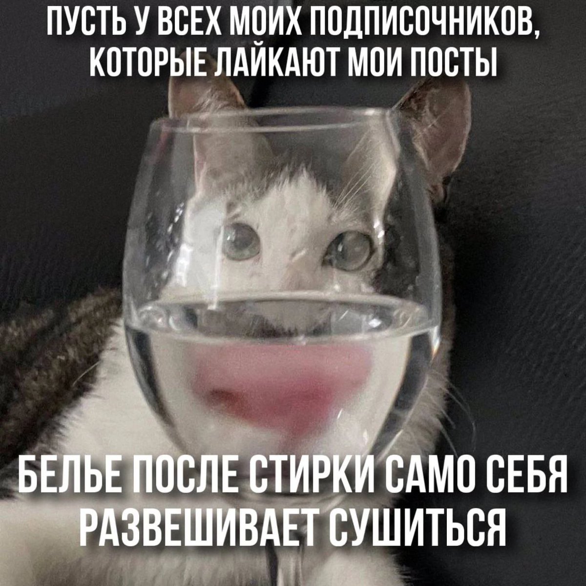 catsilcats's tweet photo. https://t.co/Q2BxMFjukY