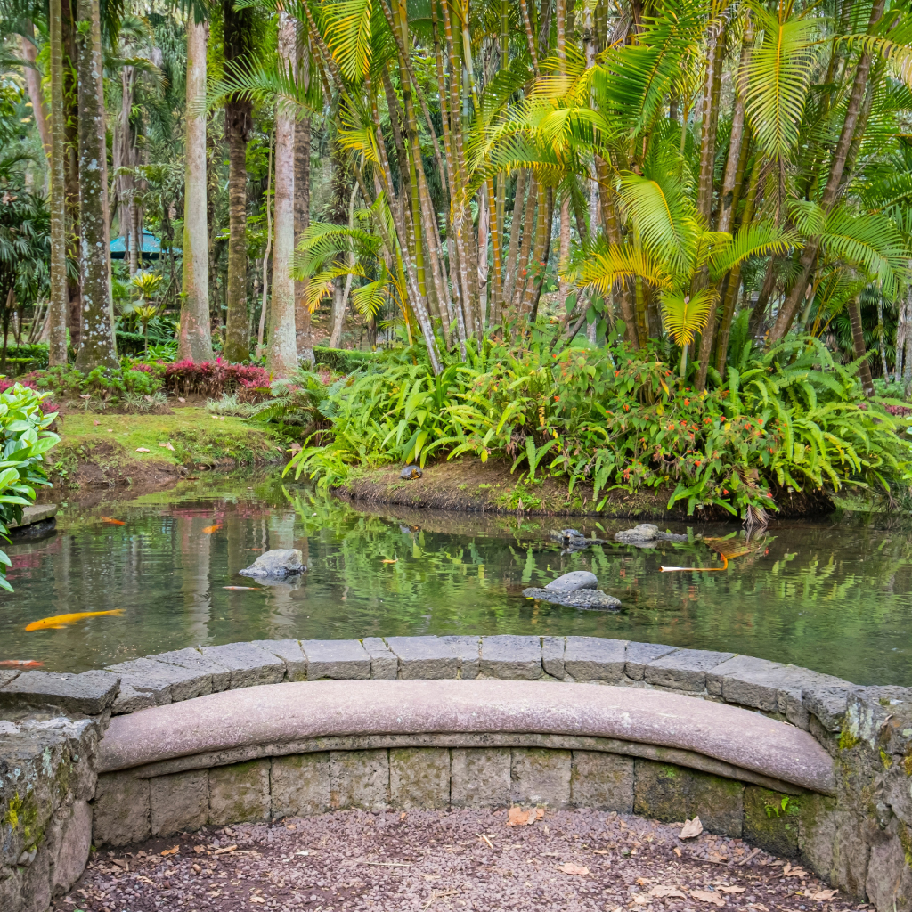 Los Tecajetes de Xalapa son nuestra opción perfecta si quieres separarte por un momento del ruido de la ciudad y encontrar un oasis en medio de la ciudad.