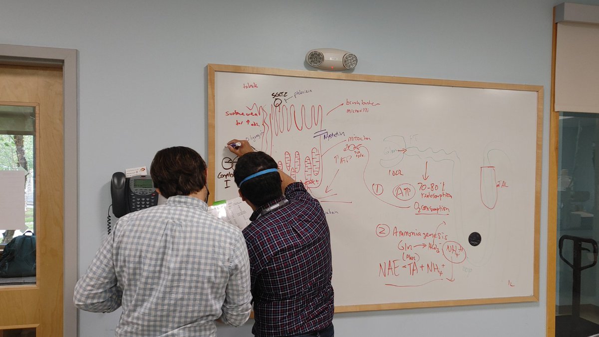 American Society of Nephrology tweet media