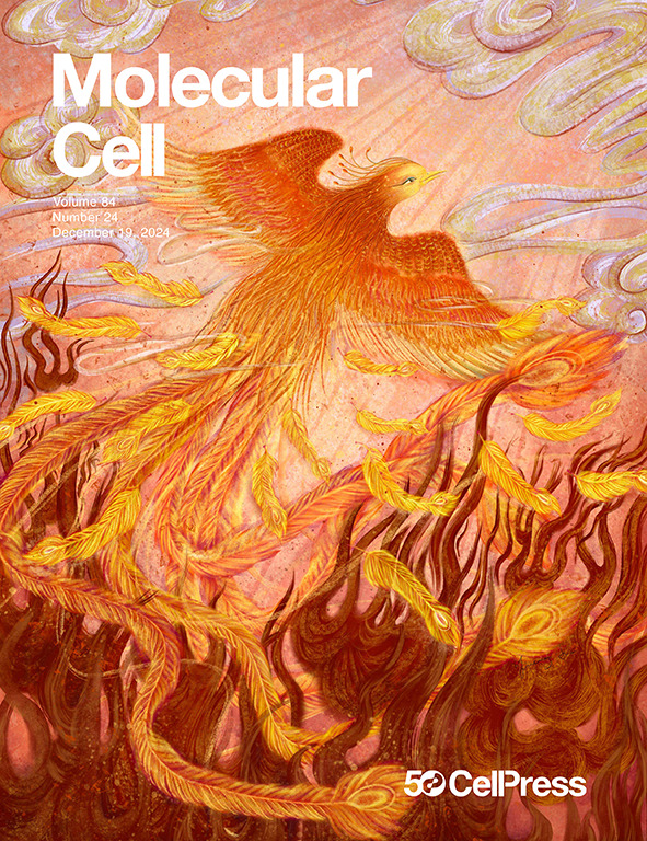 Molecular Cell tweet media