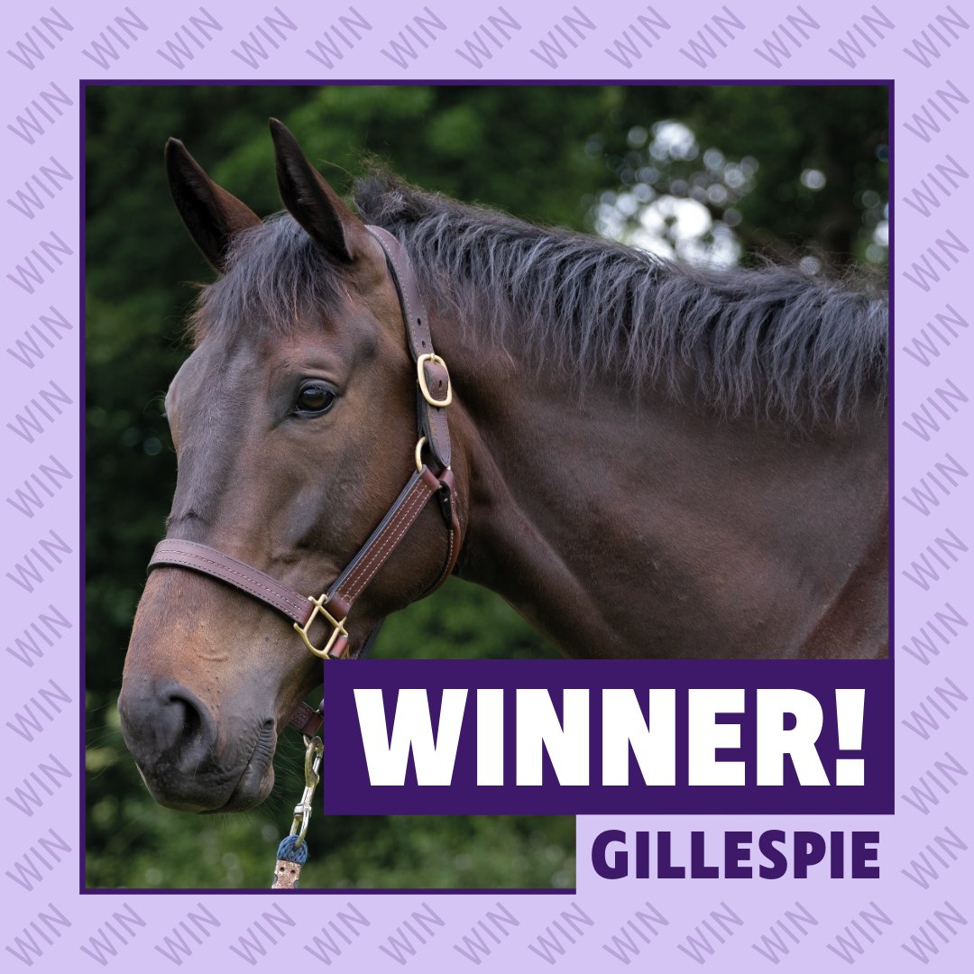 Gillespie impresses on his debut at Ffos Las for Paul Nicholls, Nico de Boinville and his Owners Group owners. Well done to all - lots to look forward to! 🏆🐴

#ownersgroup
#winner