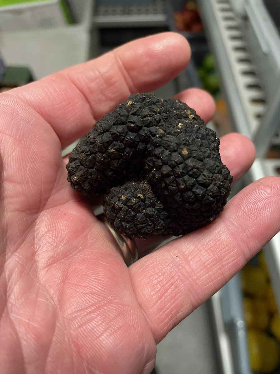 ChefsPass's tweet photo. Black Gold 

#truffle #truffles #blacktruffles #blacktruffle #trufas #truffes #tartufi https://t.co/6SLO4pryts